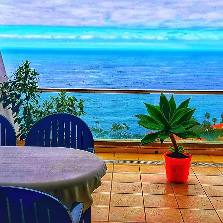 Amazing View In Canarias * La Matanza De Acentejo